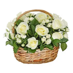 Ослепительная Улыбка